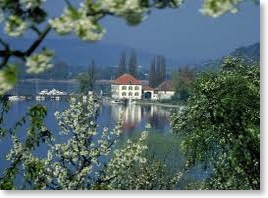 images-1